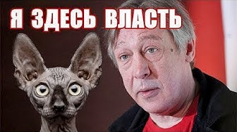 Вся власть актёрам!!! Кот Костян