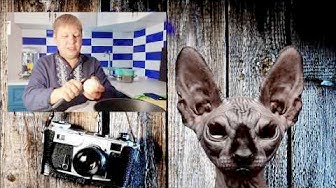 Мы в Казахстане, или ни слова о... Кот Костян