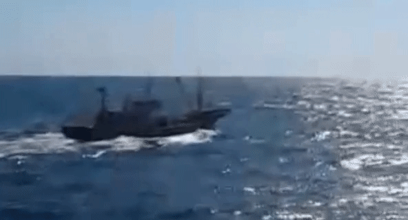 Задержание браконьеров из КНДР российскими пограничниками сняли на видео