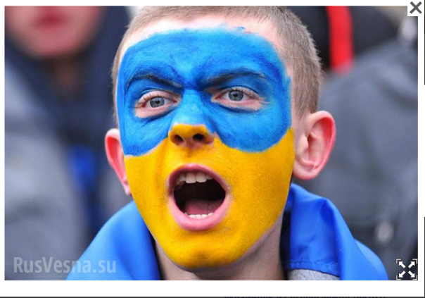 Они такие дебильные от рождения? — украинский политик о людях с «жовто-блакитными» аватарками