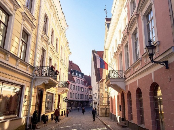 Посла России вызвали в МИД Эстонии после слов об освобождении от нацистов