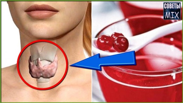 Этот целебный напиток просто находка для щитовидной железы. Натуральный рецепт в домашних условиях