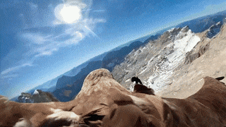 Последствия глобального потепления показали "глазами" орла