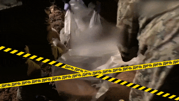 Найдены тела четырёх жертв банды Шишкана. Это подмосковный депутат и её семья