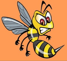 Голодная оса вмешалась в змеиный обед