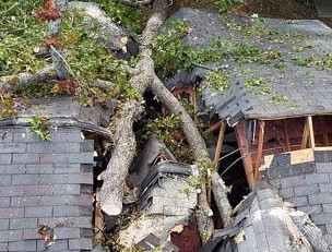 Потолок разверзся: момент падения дерева на дом в США попал на видео