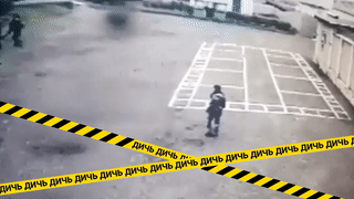 Кошку-наркокурьера с полным ошейником гашиша поймали в исправительной колонии Татарстана