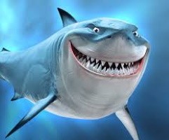 Во все зубы: необычное поведение акулы при встрече с людьми попало на видео