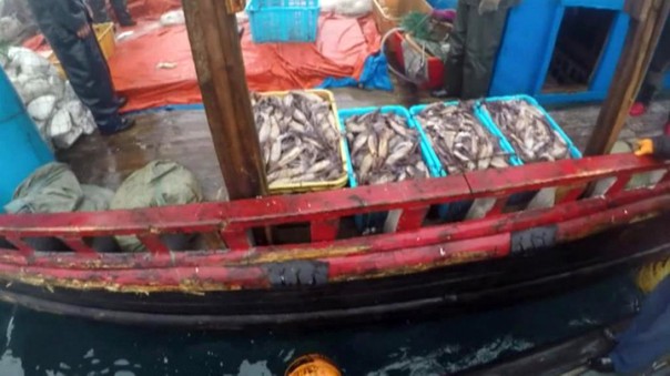 У российских берегов опять задержаны 87 браконьеров из КНДР