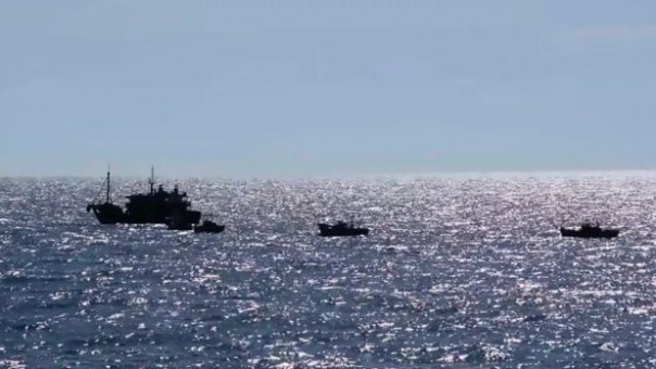 Пограничники при задержании обстреляли шхуну браконьеров из КНДР