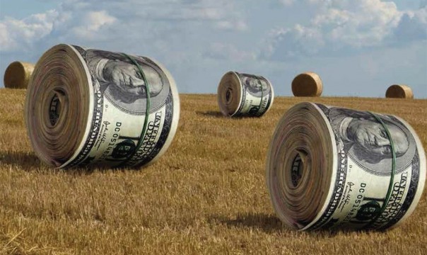 Василий Волга о продаже земли на Украине | Продажа земли на Украине - путь в никуда. Сергей Юрченко
