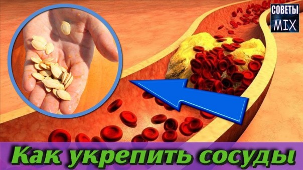 Отвар из семян тыквы для укрепления сосудов, сердца и от холестериновых бляшек