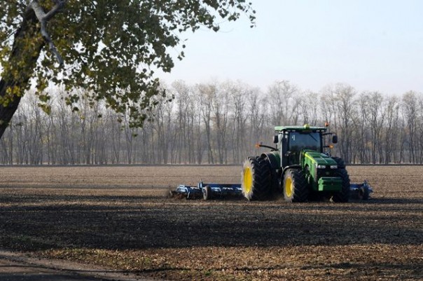 Сколько в России земли? Почему ответ не знает даже автор земельной реформы