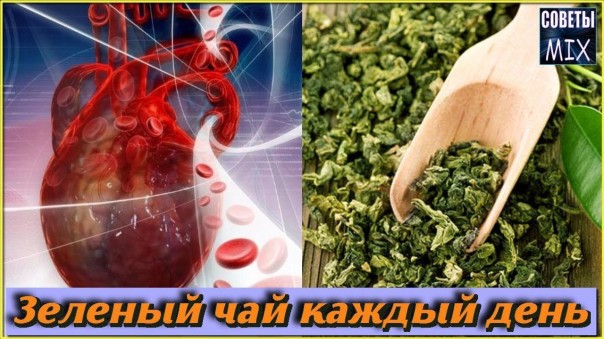 Зеленый чай: Топ 5 причин пить зеленый чай каждый день с огромной пользой для здоровья и долголетия