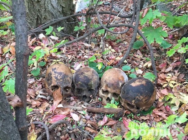 Человеческие черепа мешали спать николаевскому "Индиану Джонсу" и он разбрасывал их по городу