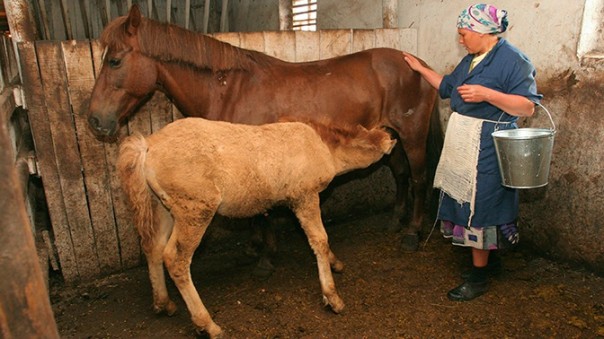 В Госдуме РФ приняли закон о сокращении рабочей недели для женщин в селах