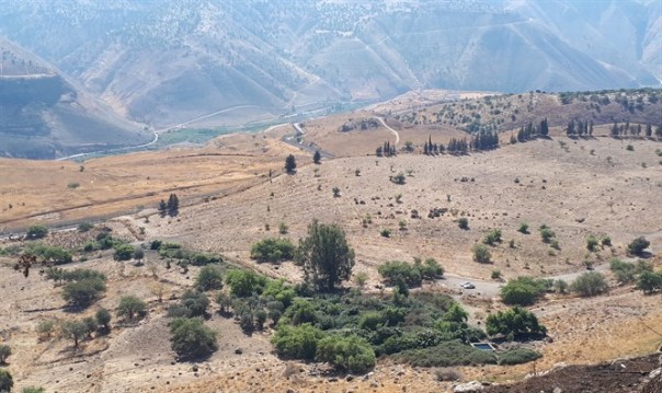 Все ради углеводородов: США снова вторглись в Сирию