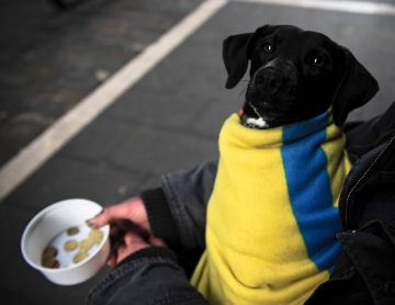 Взять у учителей, отдать в тюрьмы – новые идеи Киева по улучшению жизни в стране