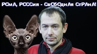 "Отвёртка" для Цимбалюка. Кот Костян