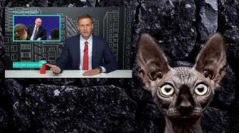 Кот Костян. Как на духу. #2