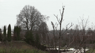 Украинский бизнесмен отрезал от электричества дом солиста "Иванушек"