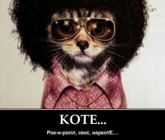 Секс, драгс, рок-н-ролл. Александр Зубченко