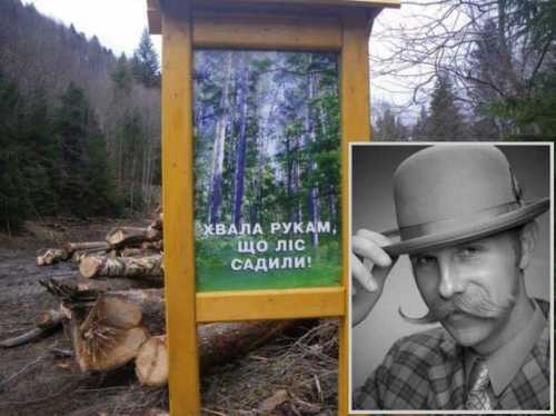 Как Зеленский запретом разрешил лес рубить