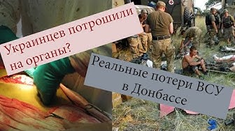 Правда ли, что украинцев потрошили на органы?
