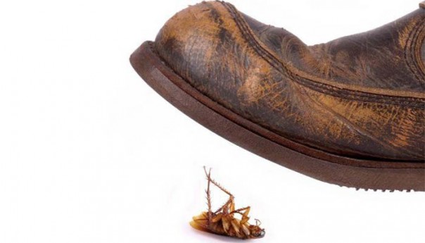 Мужчина хотел убить таракана, но едва не заслужил премию Дарвина. Так глупо устроить ЧП — это надо уметь