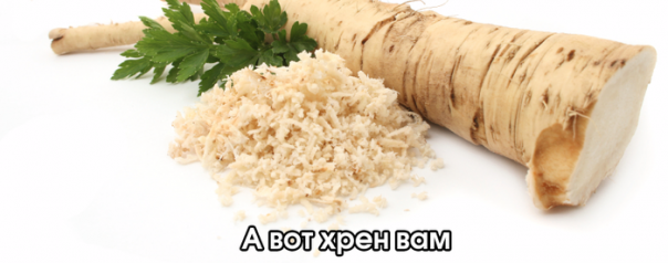 «Хрен вам, а не земля» – в Раде по-русски обратились к МВФ и Соросу