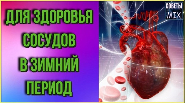Продукты для здоровья сосудов в зимний период. Как улучшить проходимость сосудов и кровообращение