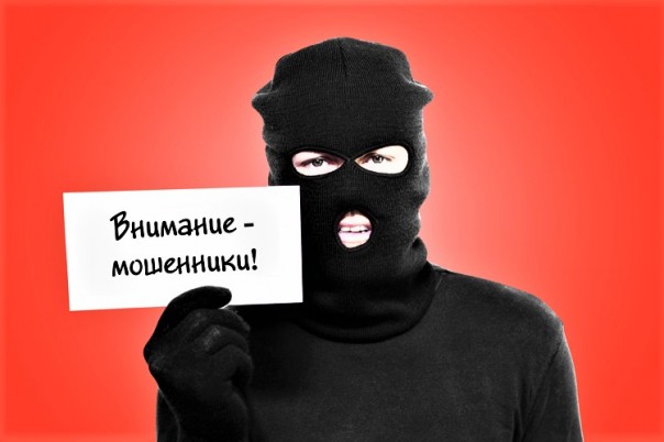 AmirCapital / Команда фонда / Мошенники? часть 2