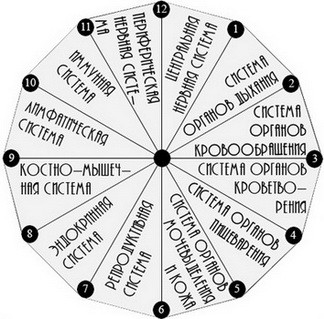 А.В.Росич. Из переписки на тему здоровья