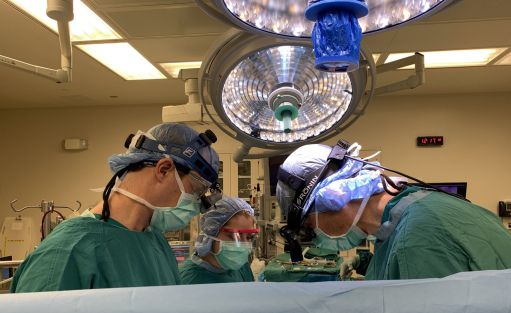 Врачи сняли, как сердце, изъятое у донора после смерти, снова начало биться