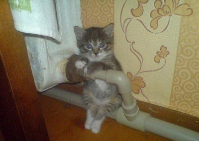 Газовое прозрение приходит с севера и востока. Владимир Скачко
