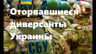 Оторвавшиеся диверсанты Украины | Кто такие "герои" Майдана | Утечка мозгов с Украины