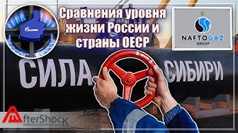 Сравнения уровня жизни России и страны ОЕСР
