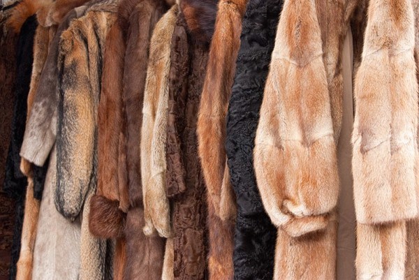 «Меня в жар бросило»: Жительница Украины рассказала шокирующую историю о распродаже имущества жителей Донбасса во Львове