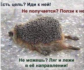 Почему в России бардак - это не беда, а счастье?