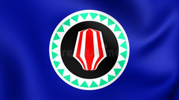 Новое государство Бугенвиль. Colonel Cassad