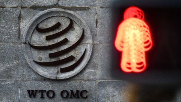 Кризис ВТО и ошибка российских караул-патриотов. Ирина Алкснис