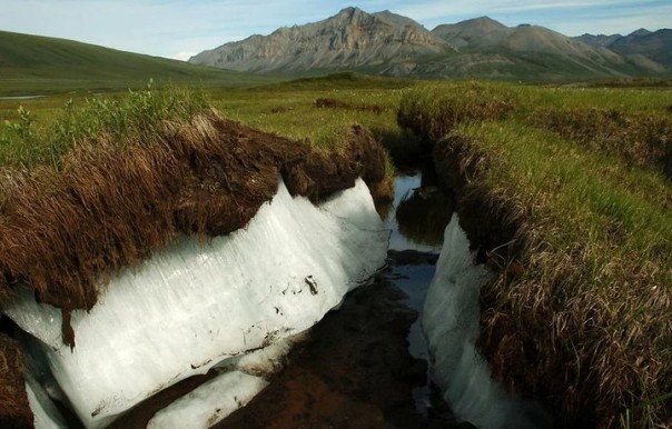 65% территории России – это вечная мерзлота. Объясняю на пальцах, что это значит