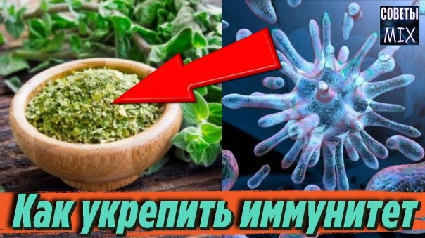 Как укрепить иммунитет в домашних условиях. Правильное питание для защиты организма. Советы здоровья