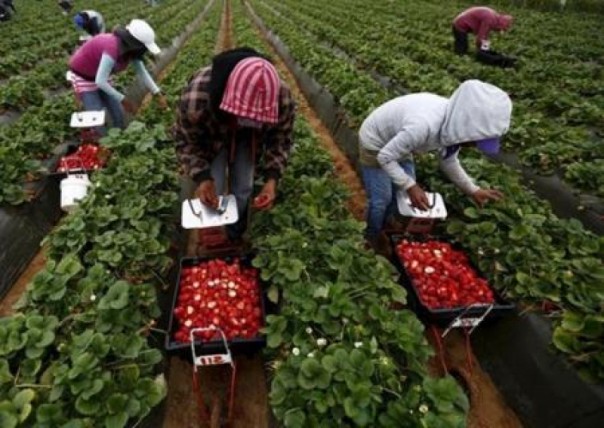 Главным иностранным инвестором Украины стали заробитчане – цифры