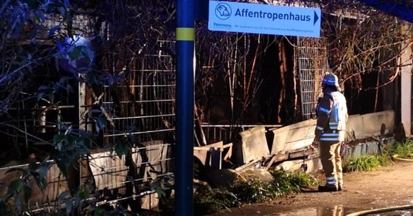 ЧП в зоопарке Германии: сгорели 30 животных