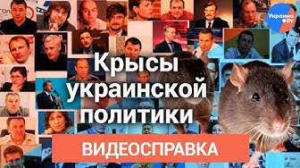 Главные крысы украинской политики: кто они?