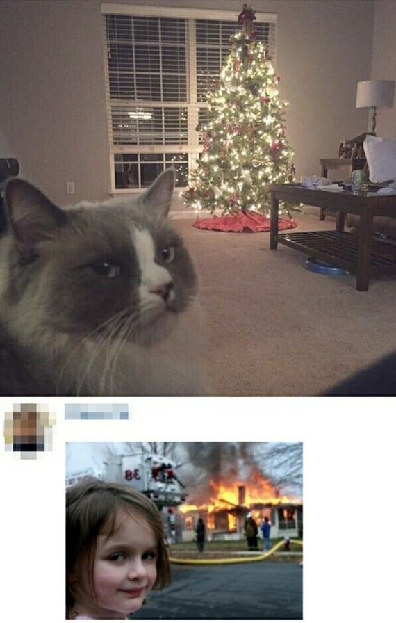 "Мыздобулы" в картинках. Смешных и не очень... 07.01.2020 [18+]