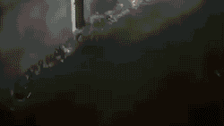 Опубликованы новые видео момента падения украинского Boeing 737-800 в Иране