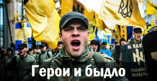 Герои и быдло