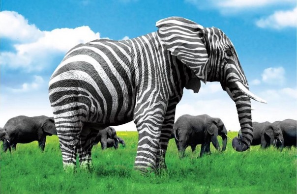 Люблю хруст рвущихся шаблонов